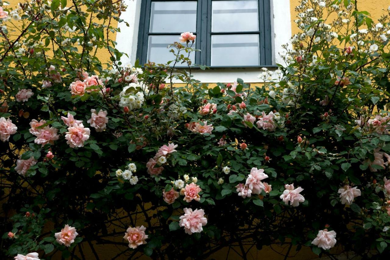 Bed and Breakfast Marienschloessl Wiedendorf Exterior foto